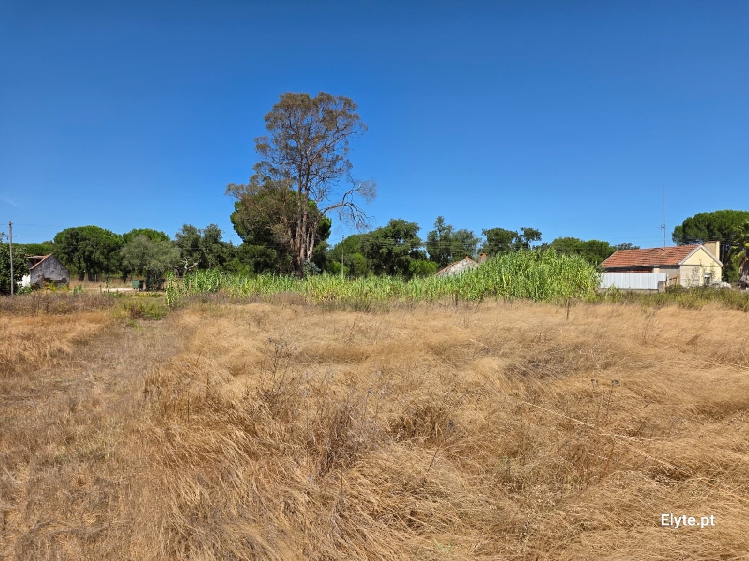 for sale house Branca Coruche 8
