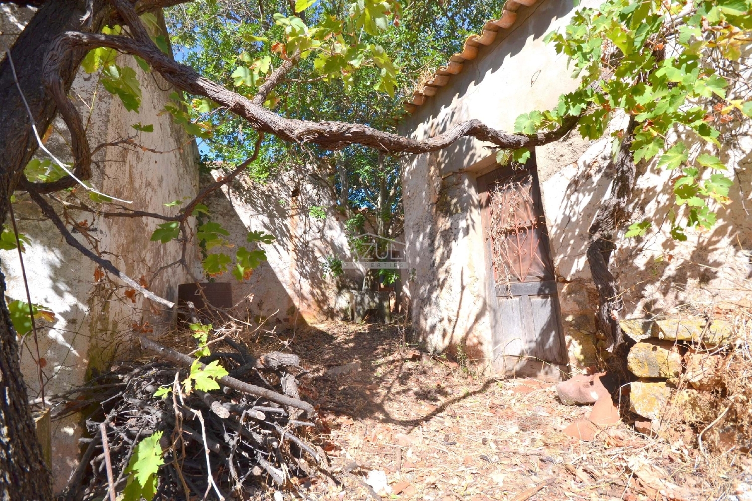  à venda casa Loulé Loulé 5