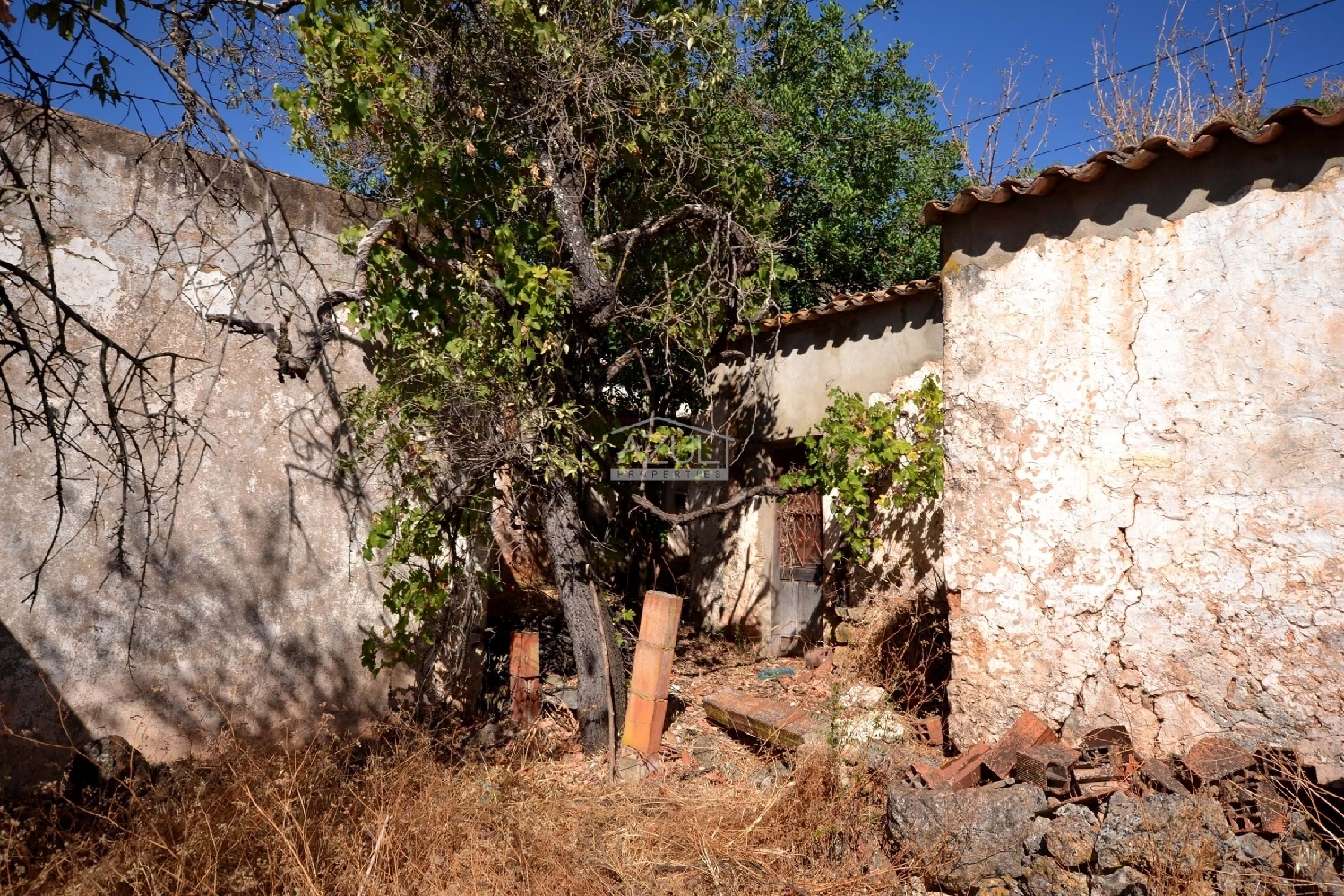  à venda casa Loulé Loulé 7