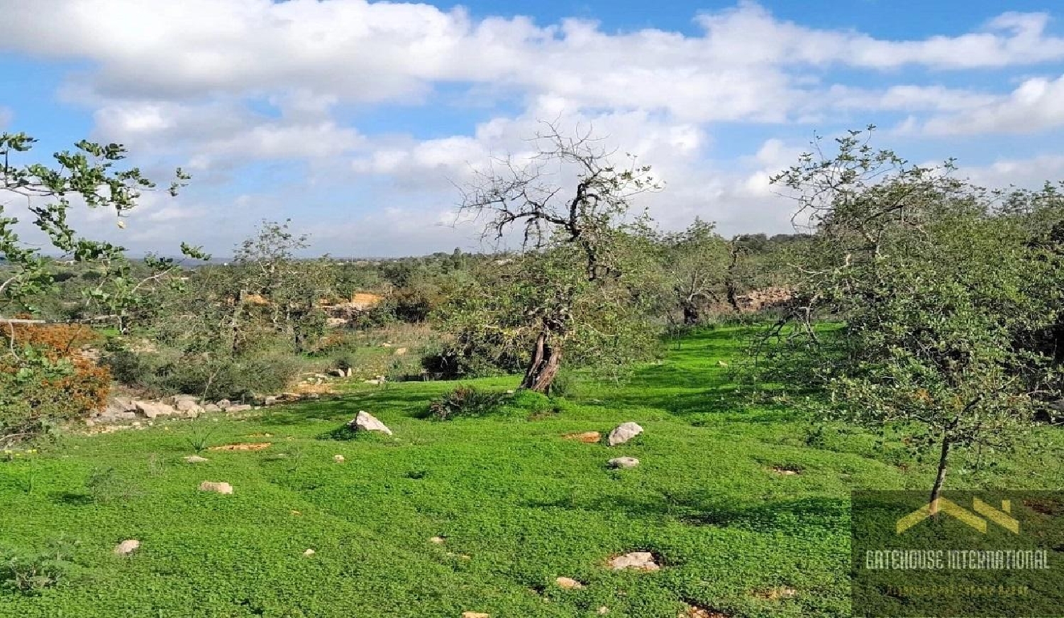  te koop huis Tavira Tavira 7