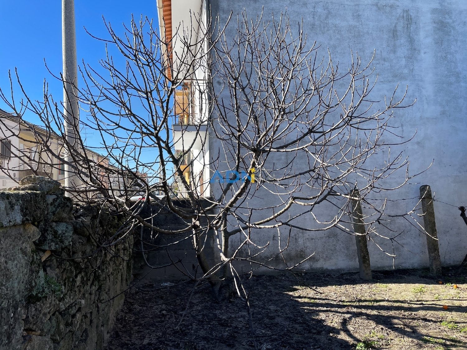  kaufen Grundstück Castelo Branco Castelo Branco 4
