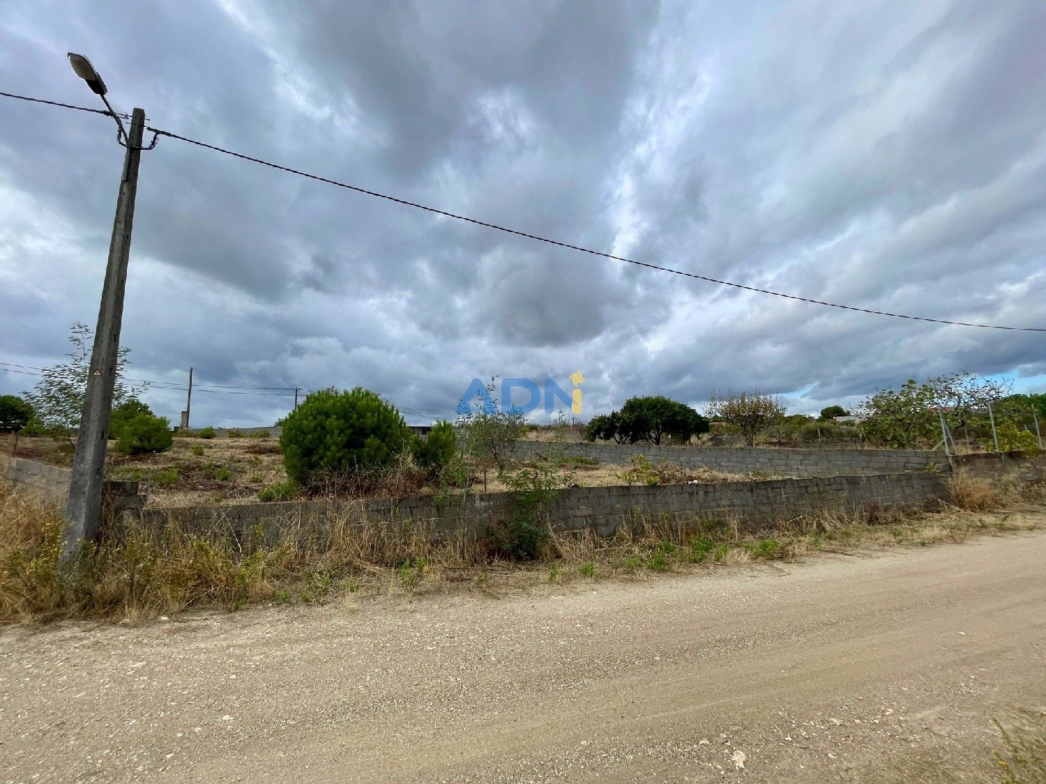  à vendre terrain Castelo Branco Castelo Branco 3