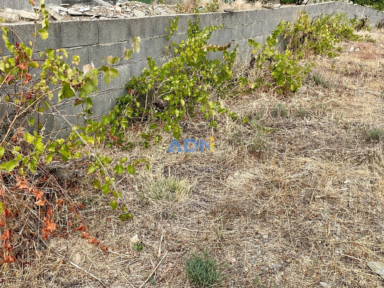  à vendre terrain Castelo Branco Castelo Branco 4