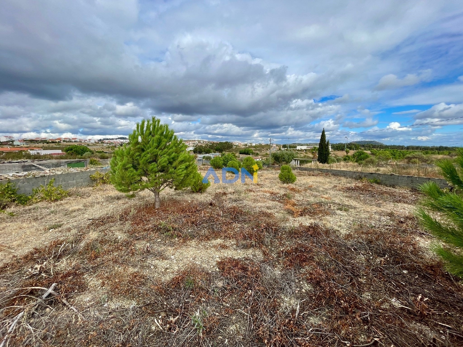  à vendre terrain Castelo Branco Castelo Branco 5