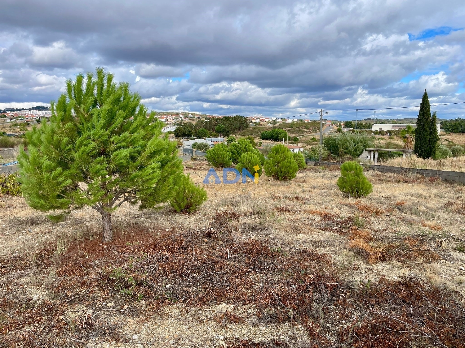  à vendre terrain Castelo Branco Castelo Branco 6