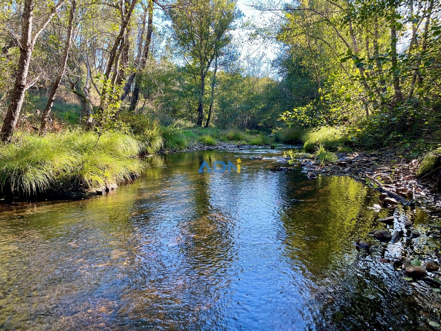  à vendre terrain Castelo Branco Castelo Branco 1