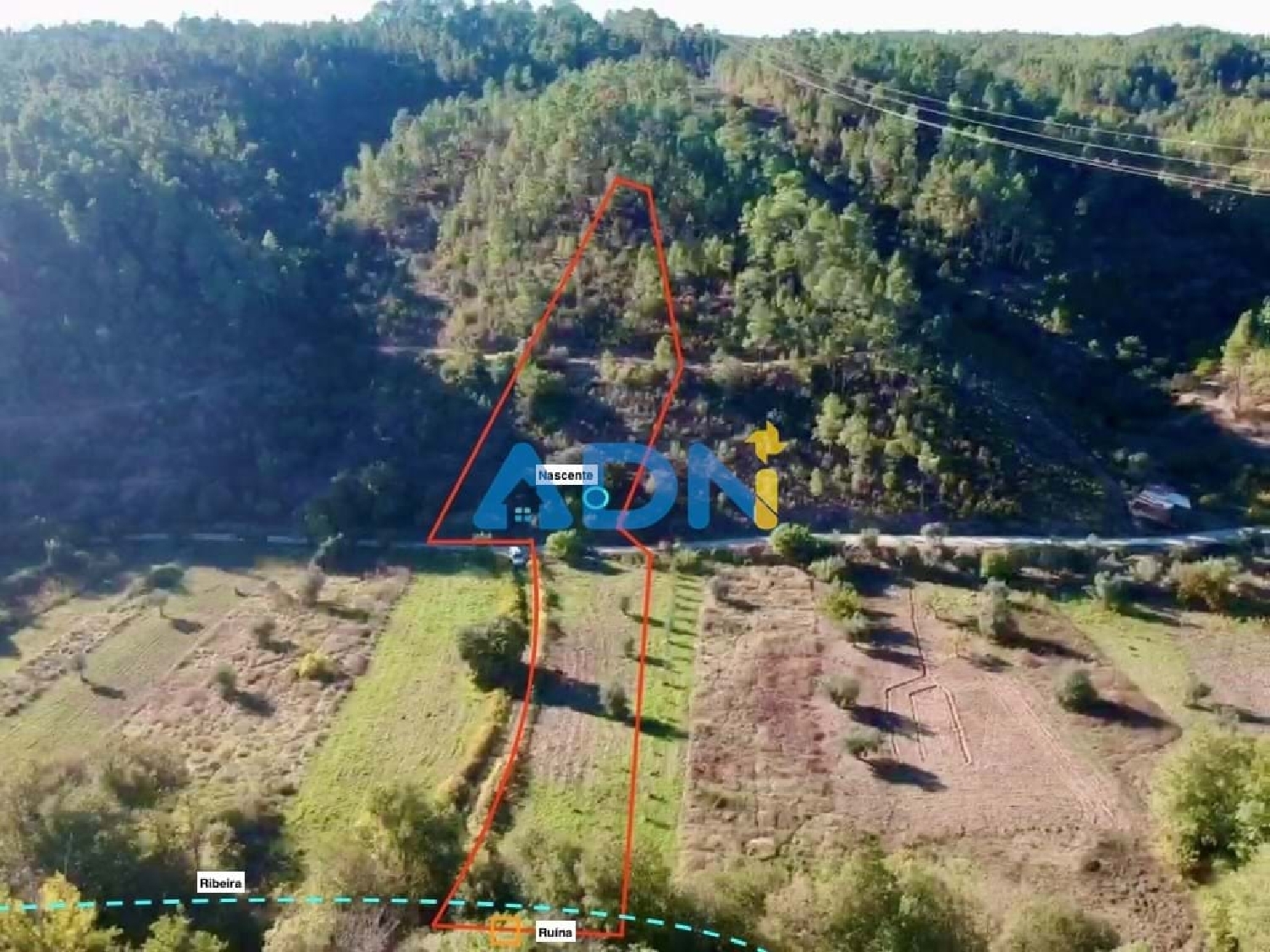  à vendre terrain Castelo Branco Castelo Branco 2