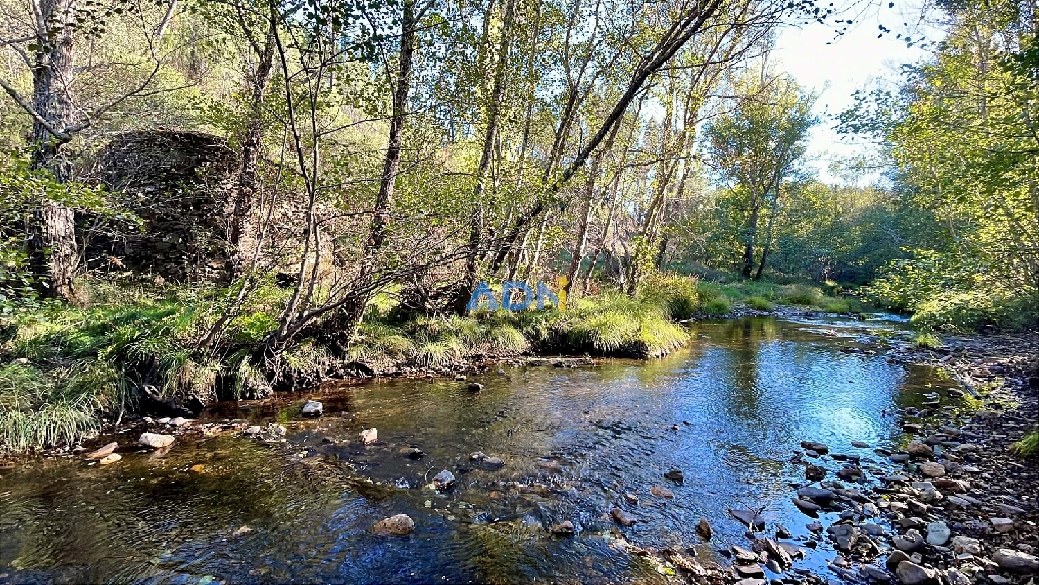  à vendre terrain Castelo Branco Castelo Branco 3