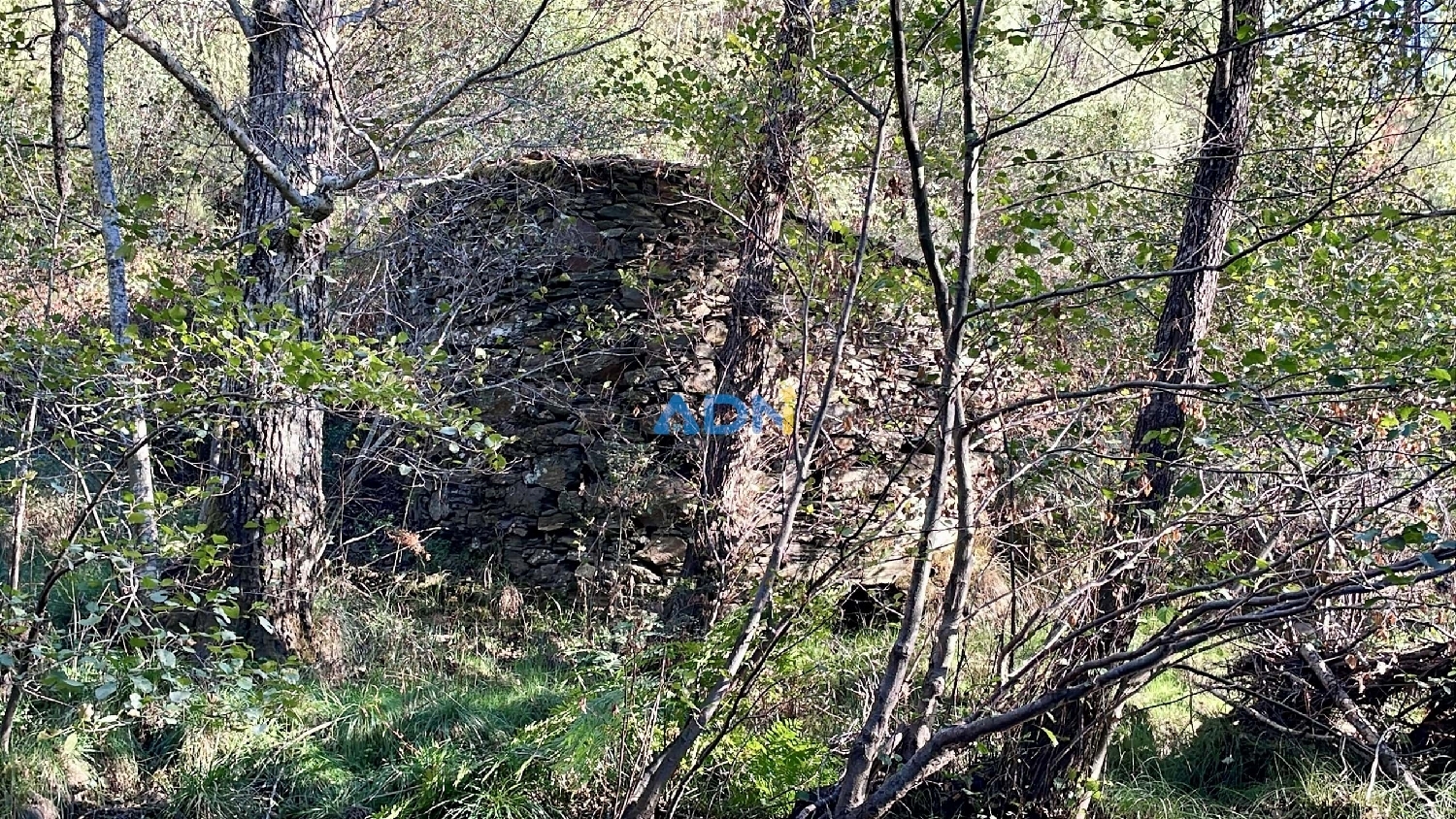  à vendre terrain Castelo Branco Castelo Branco 4