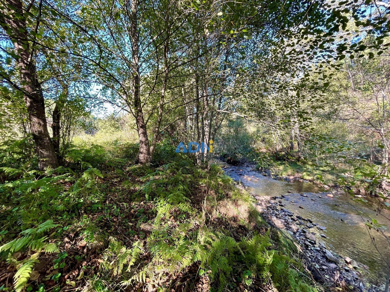  à vendre terrain Castelo Branco Castelo Branco 5