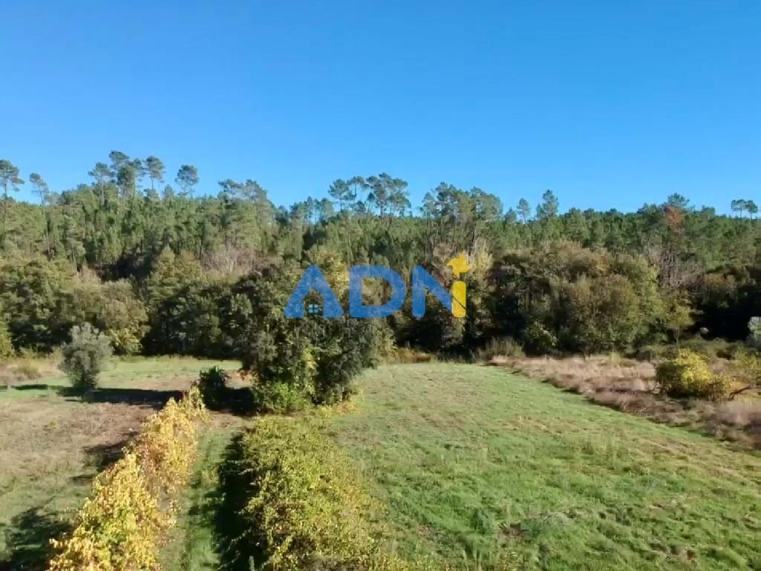  à vendre terrain Castelo Branco Castelo Branco 7