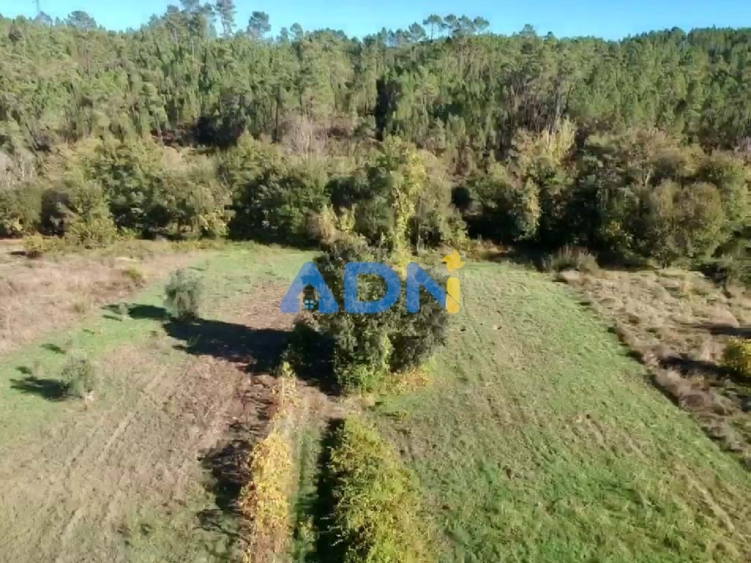  à vendre terrain Castelo Branco Castelo Branco 8