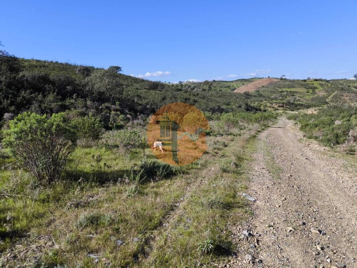 for sale terrain Castro Marim Castro Marim 1