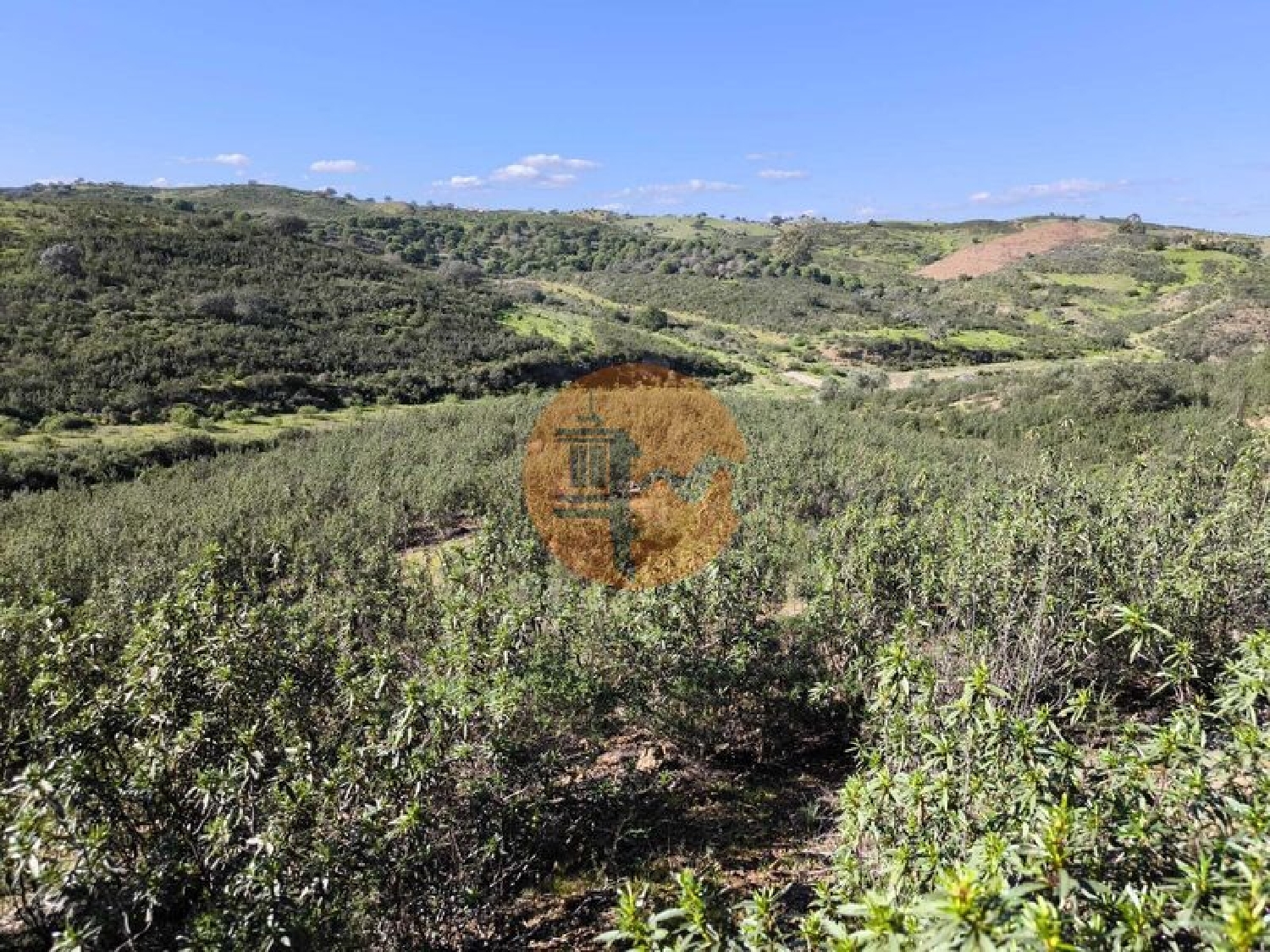 for sale terrain Castro Marim Castro Marim 3