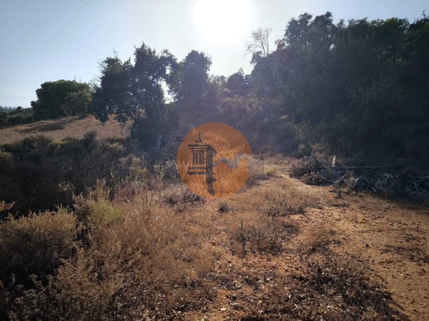 for sale terrain Castro Marim Castro Marim 6