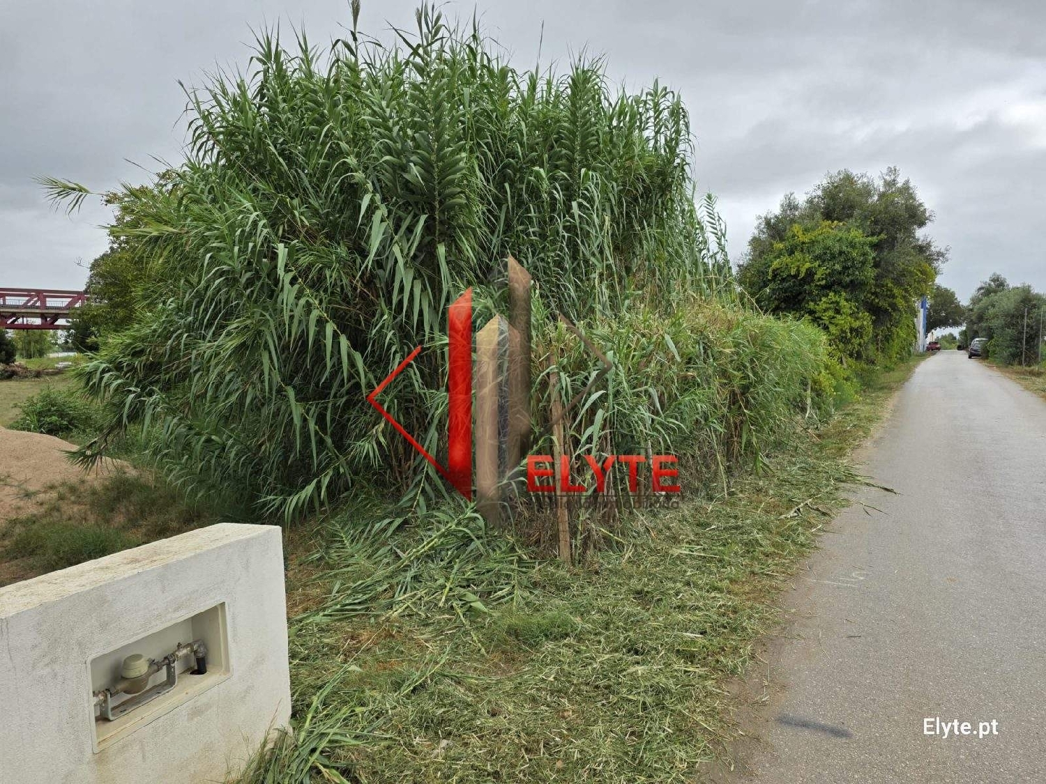  te koop terrein Coruche Coruche 5