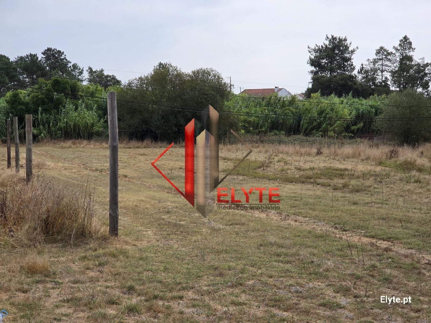  te koop terrein Coruche Coruche 5