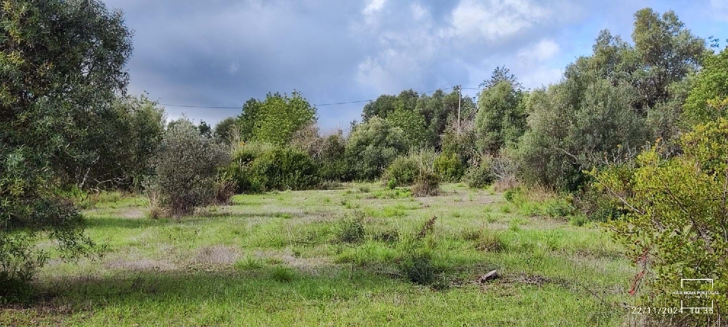  kaufen Grundstück Loulé Loulé 2