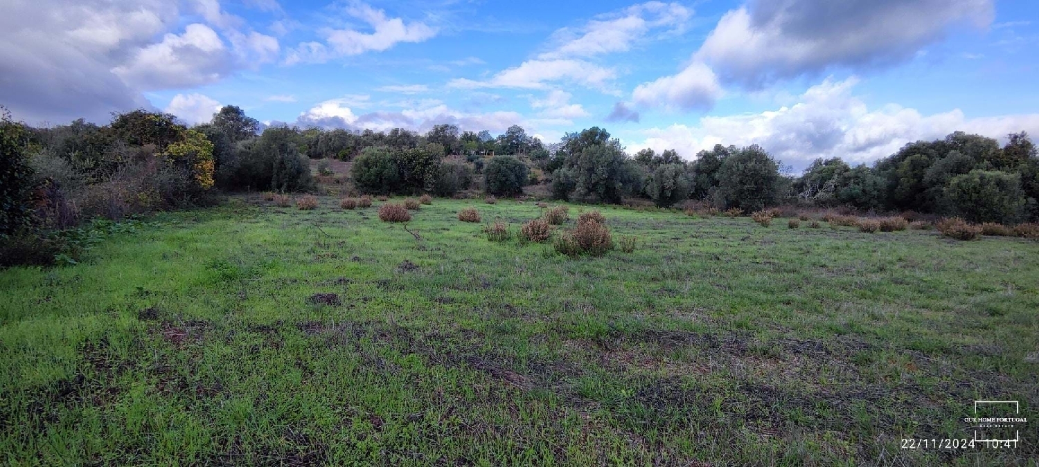  kaufen Grundstück Loulé Loulé 4