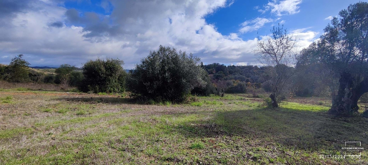  kaufen Grundstück Loulé Loulé 6