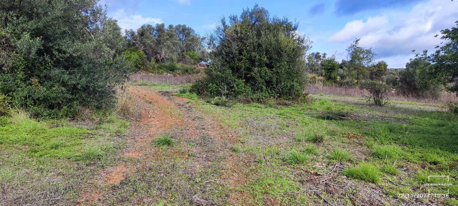  kaufen Grundstück Loulé Loulé 8