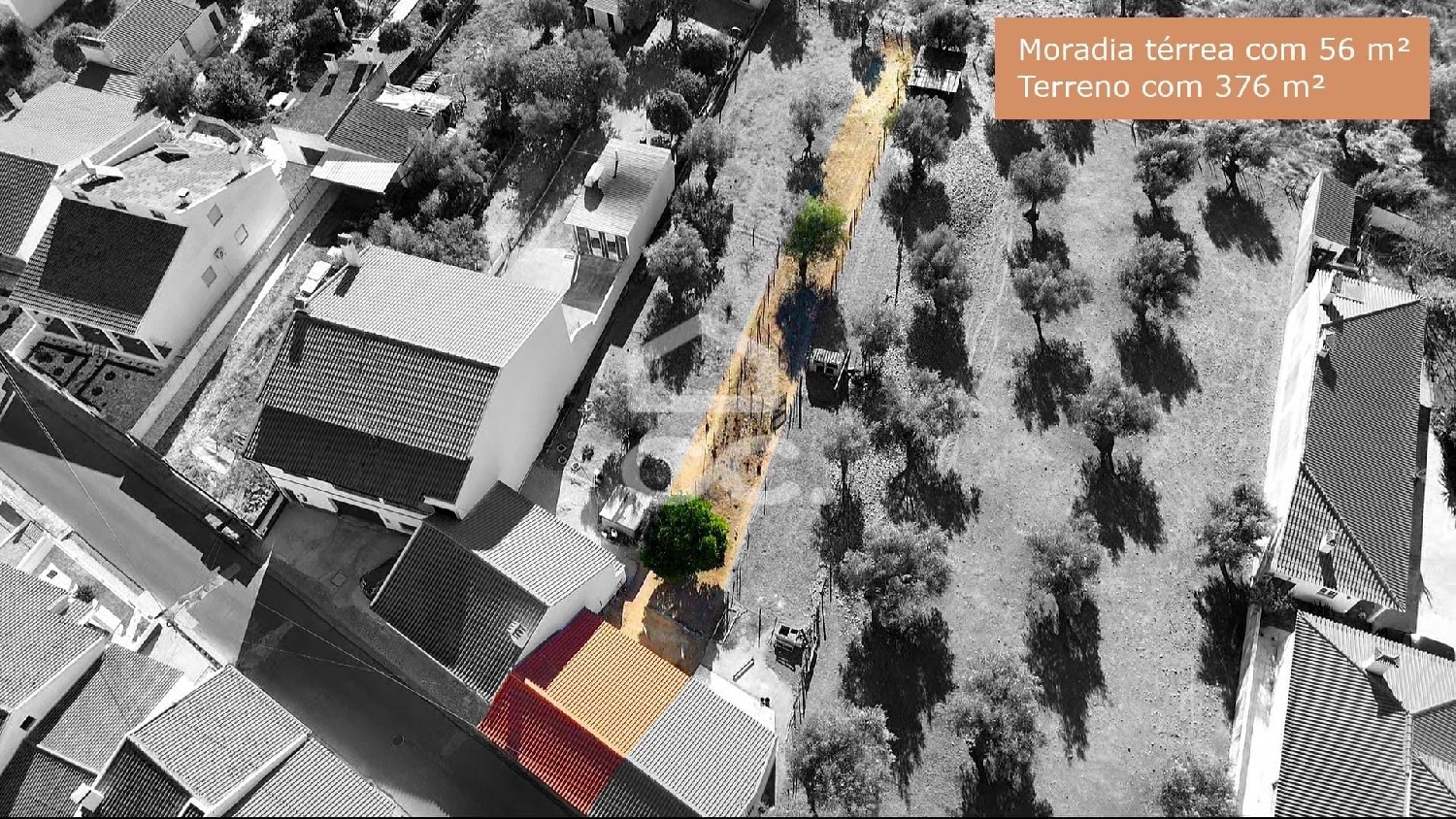  for sale villa Abrantes Abrantes 2
