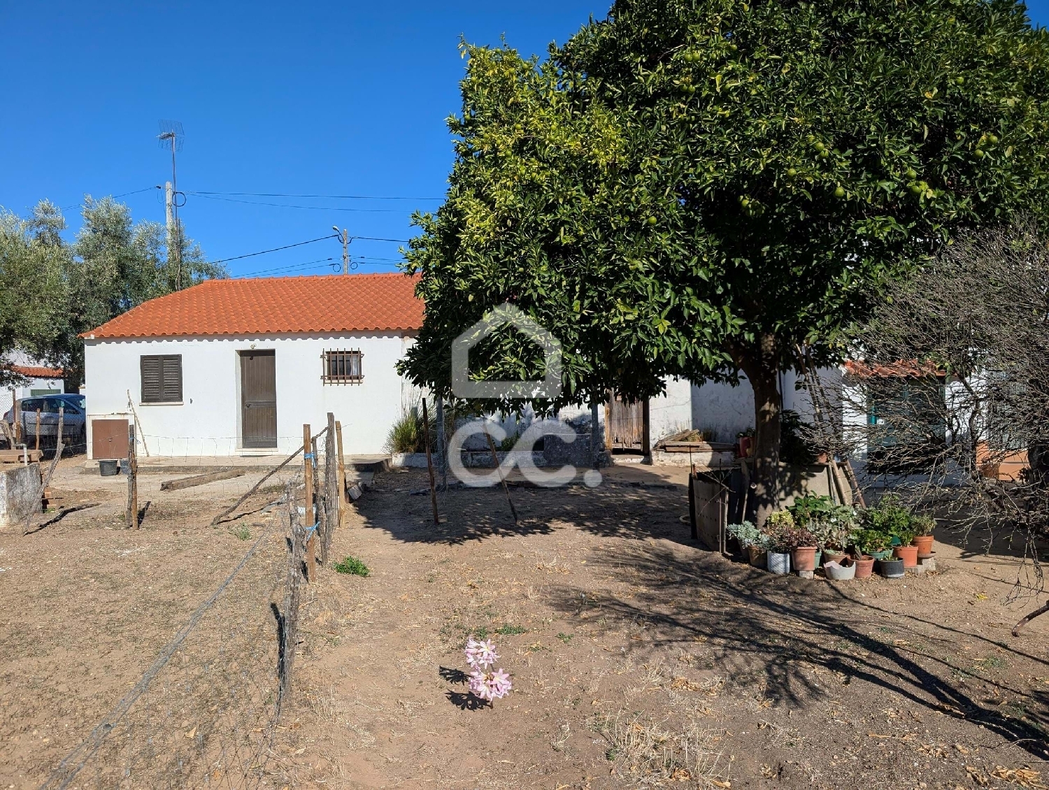  for sale villa Abrantes Abrantes 6