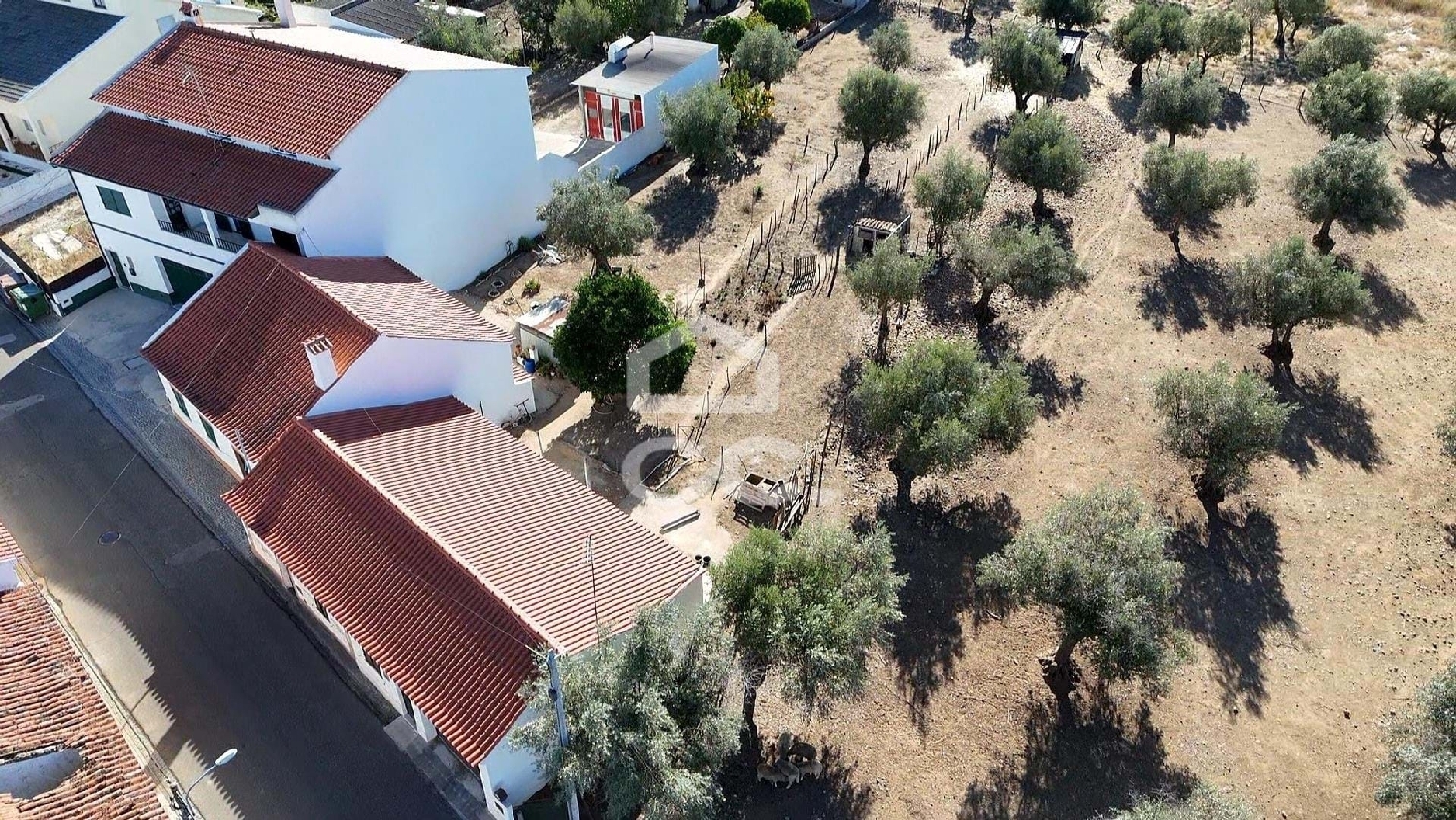  for sale villa Abrantes Abrantes 7