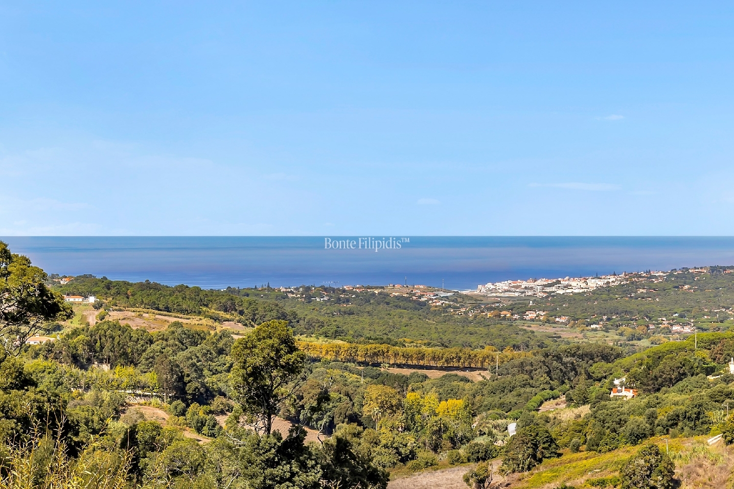  for sale villa Sintra Sintra 5