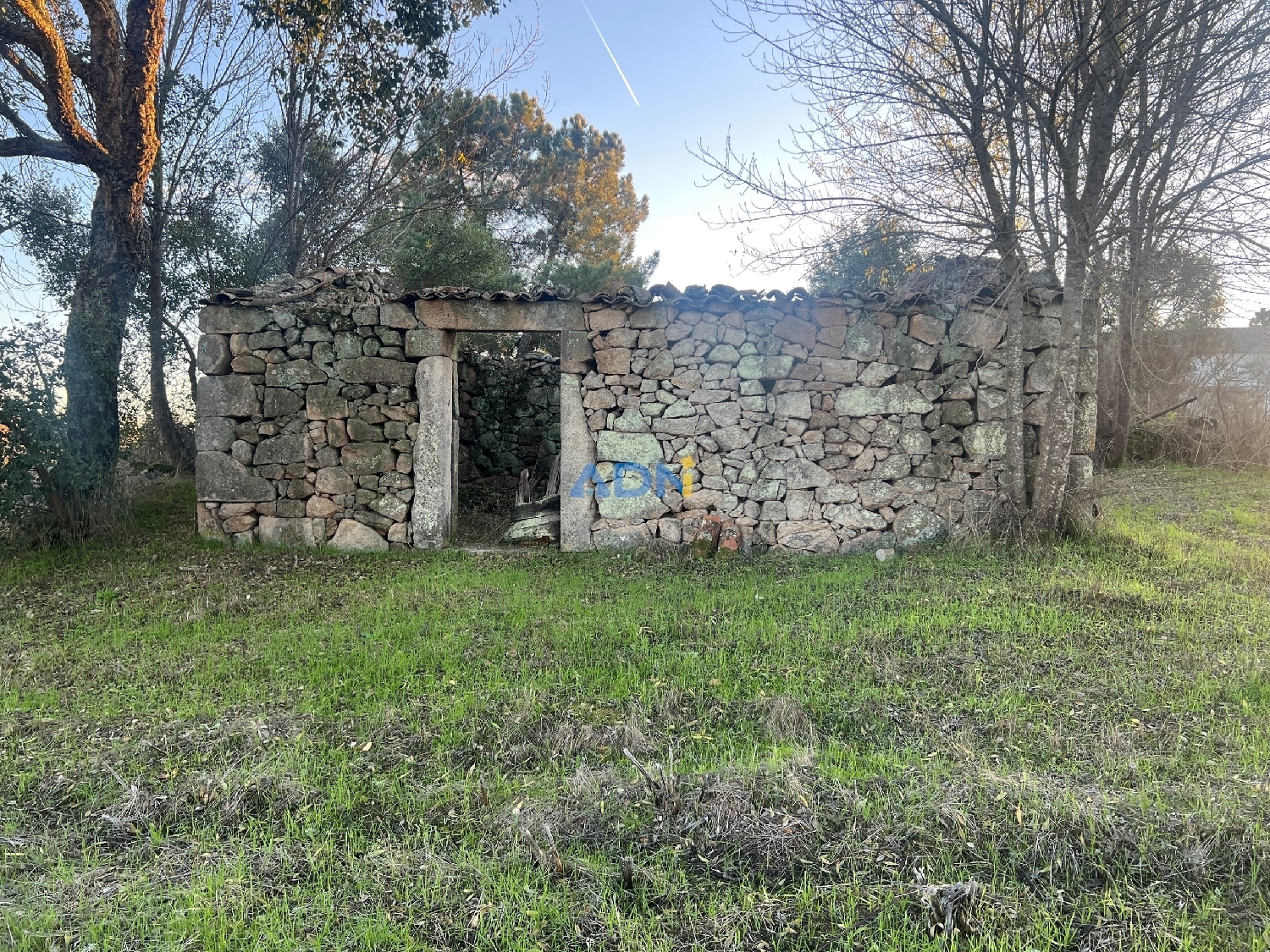  出售 乡间别墅 Castelo Branco Castelo Branco 1