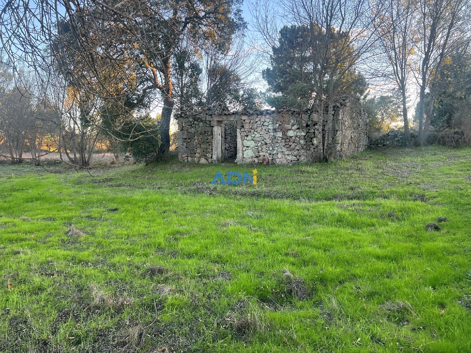  出售 乡间别墅 Castelo Branco Castelo Branco 2