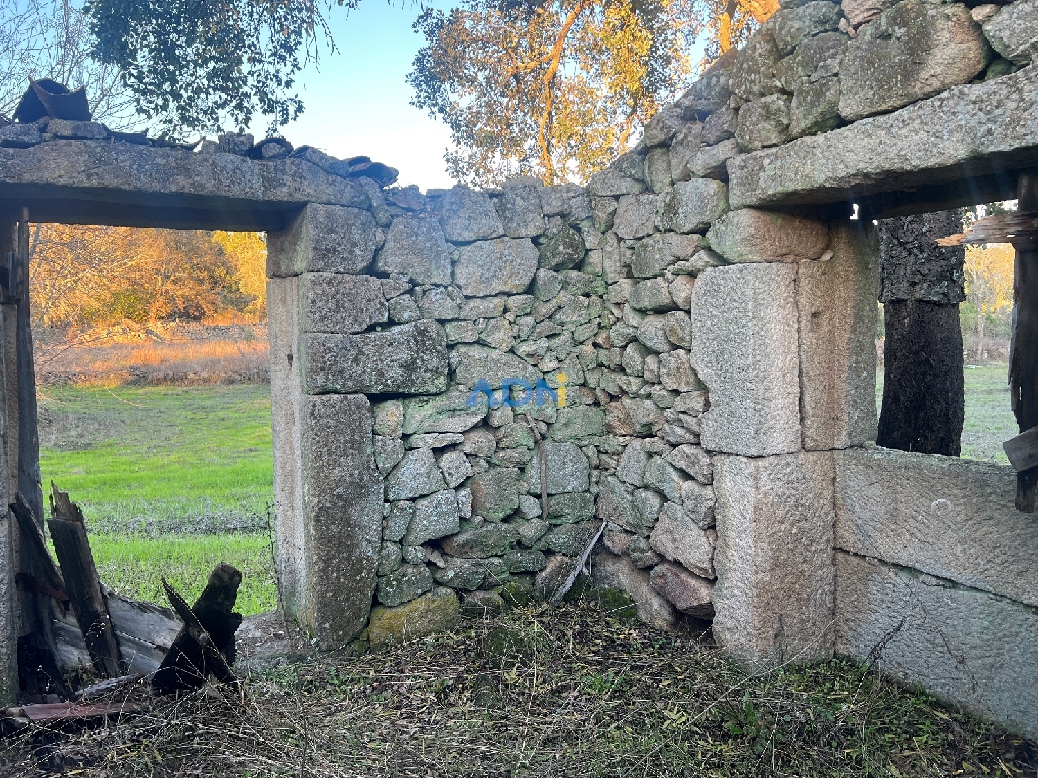  出售 乡间别墅 Castelo Branco Castelo Branco 3