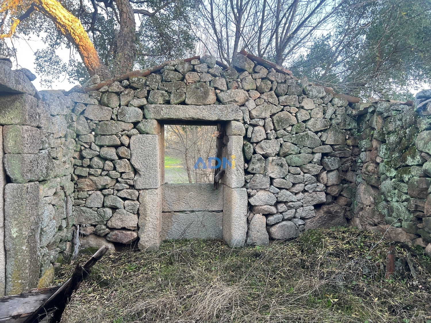  出售 乡间别墅 Castelo Branco Castelo Branco 4