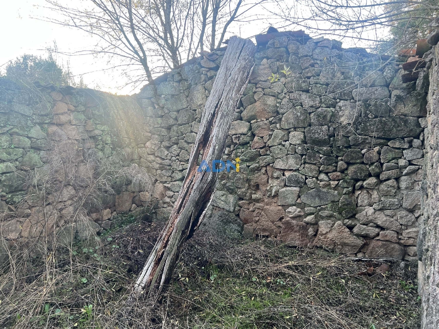  出售 乡间别墅 Castelo Branco Castelo Branco 5