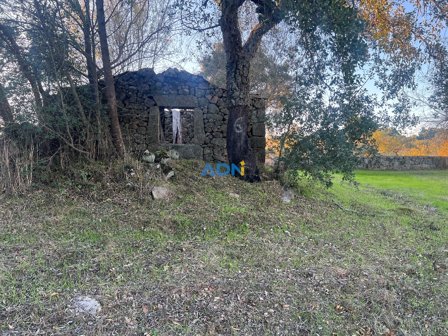  出售 乡间别墅 Castelo Branco Castelo Branco 6