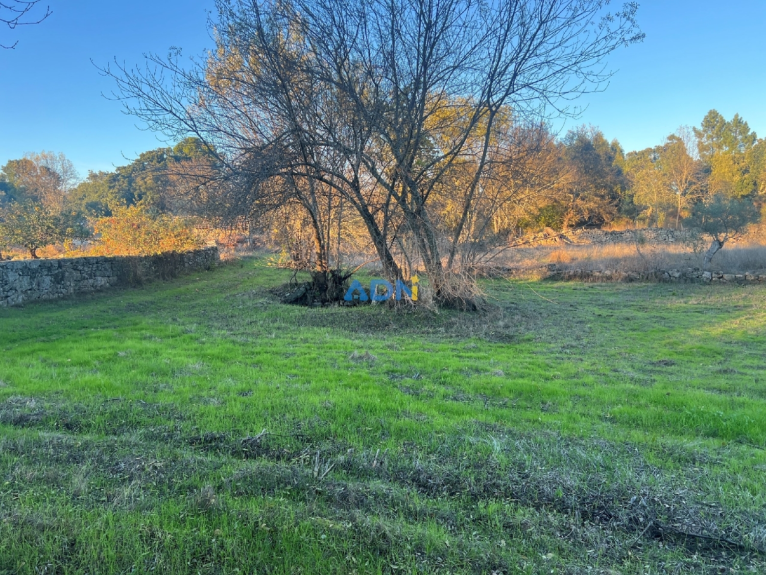  出售 乡间别墅 Castelo Branco Castelo Branco 7