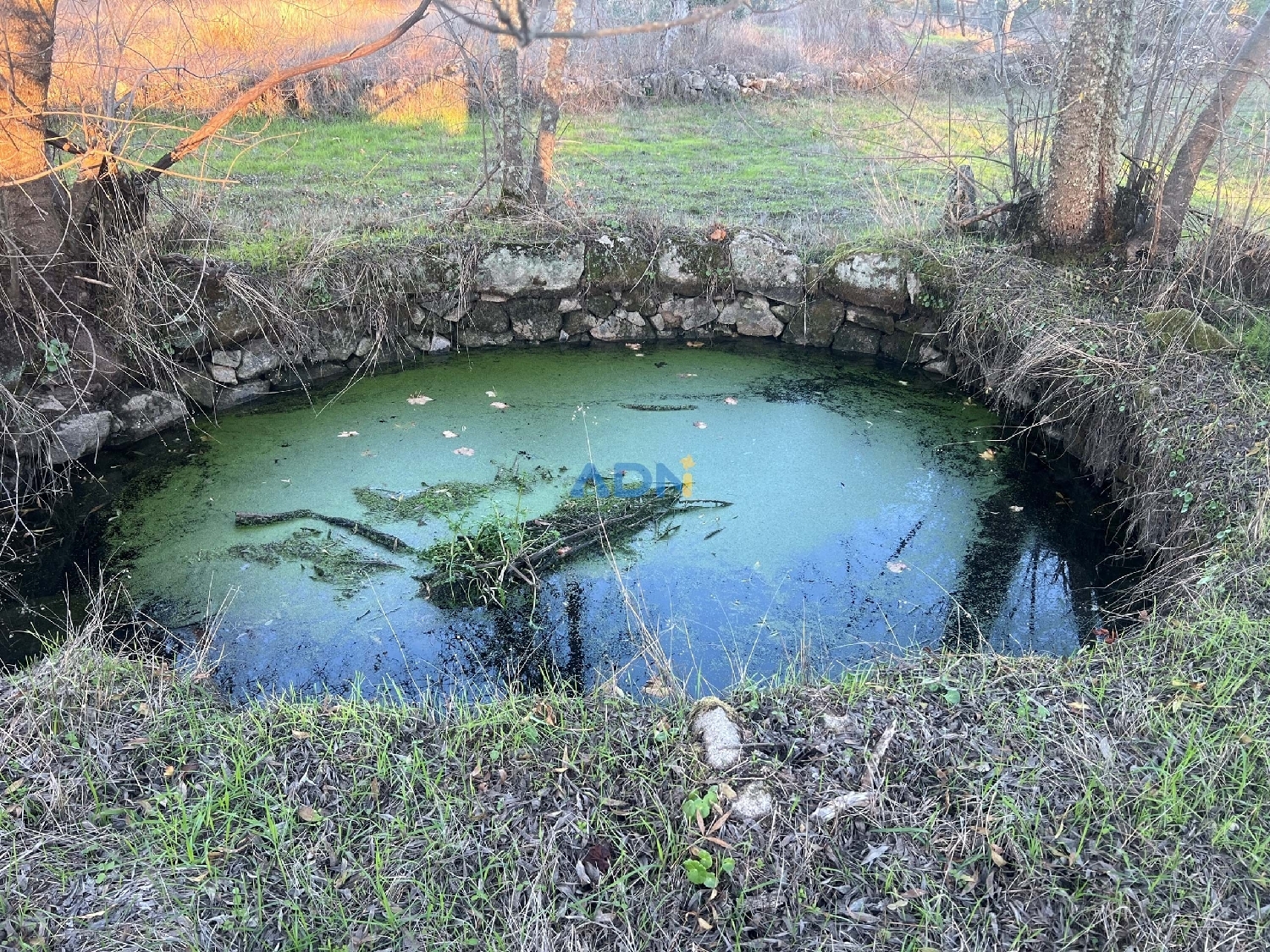  出售 乡间别墅 Castelo Branco Castelo Branco 8