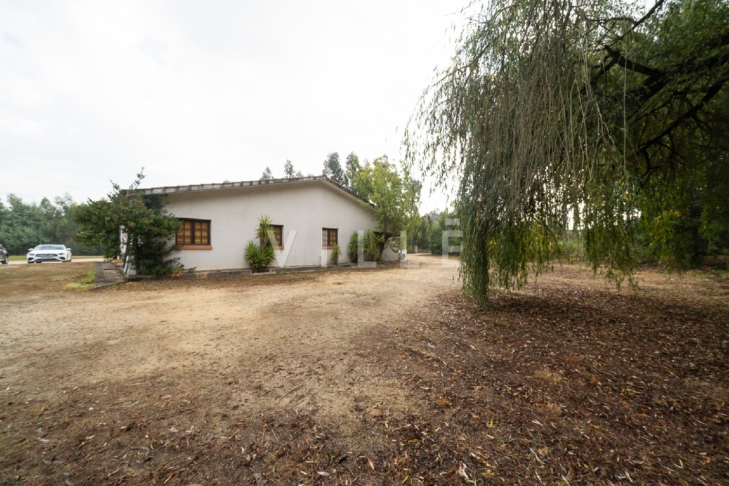 à vendre maison Águeda Águeda 8