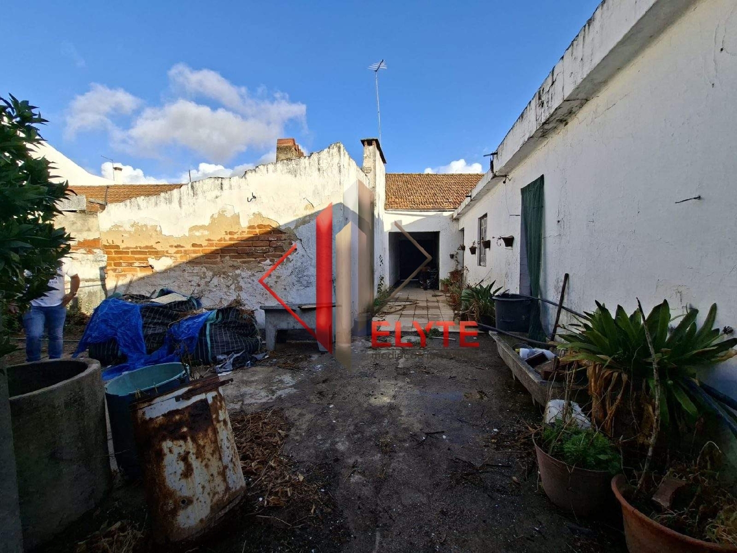  for sale house Almeirim Almeirim 8