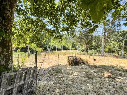 Aveiro Aveiro casa foto 341719