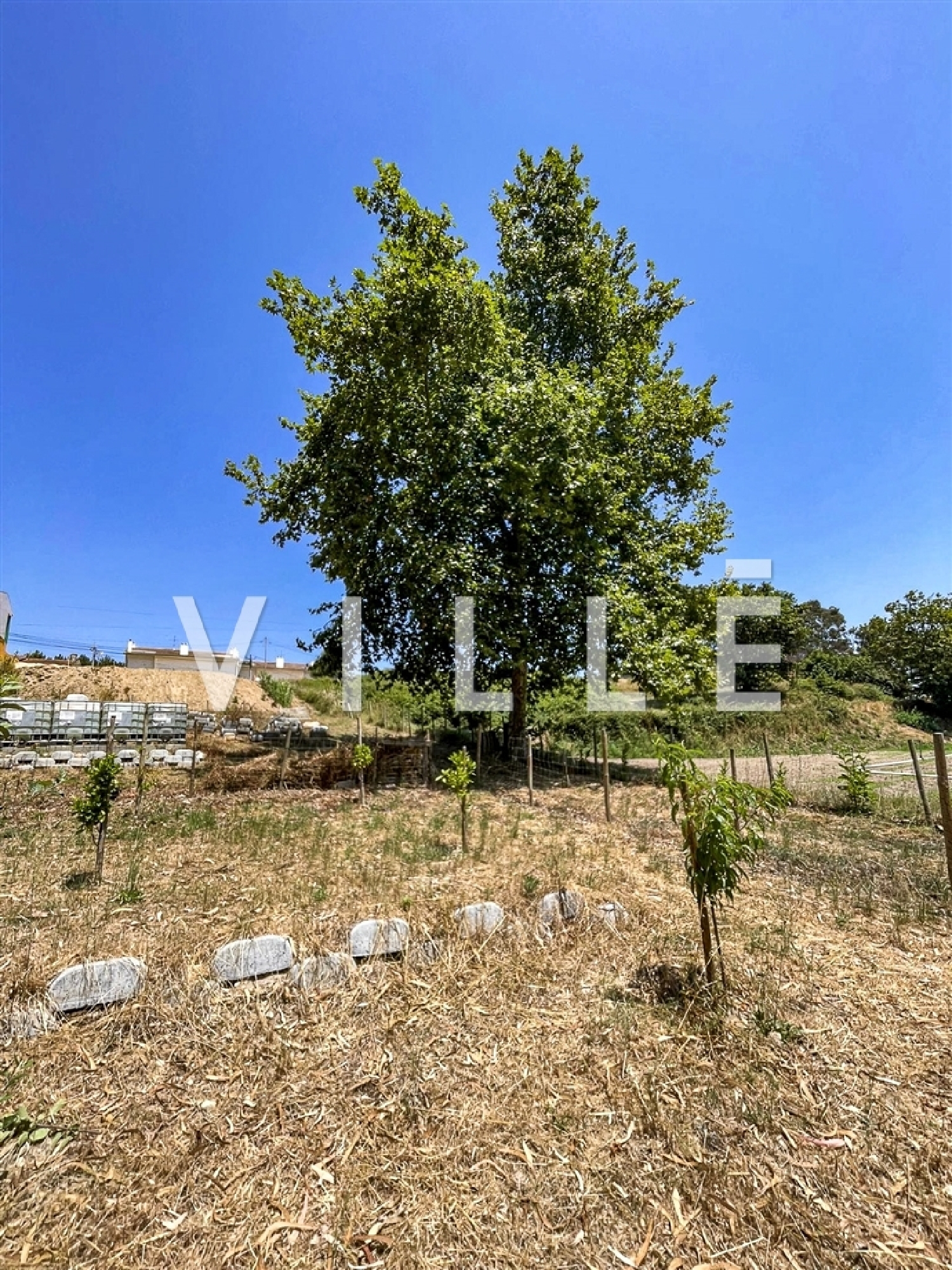 köpa hus Aveiro Aveiro 6