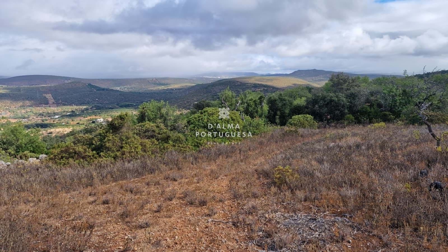  kaufen Grundstück Albufeira Albufeira 3