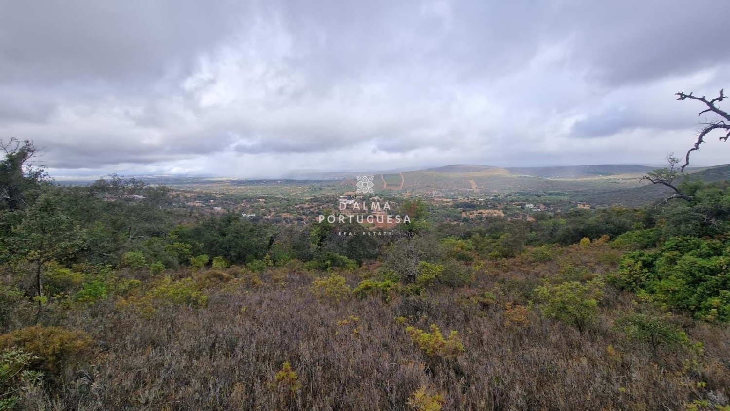  kaufen Grundstück Albufeira Albufeira 4