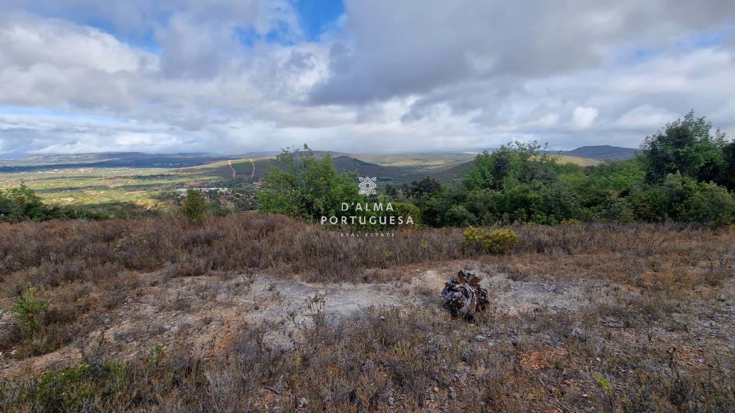  kaufen Grundstück Albufeira Albufeira 6