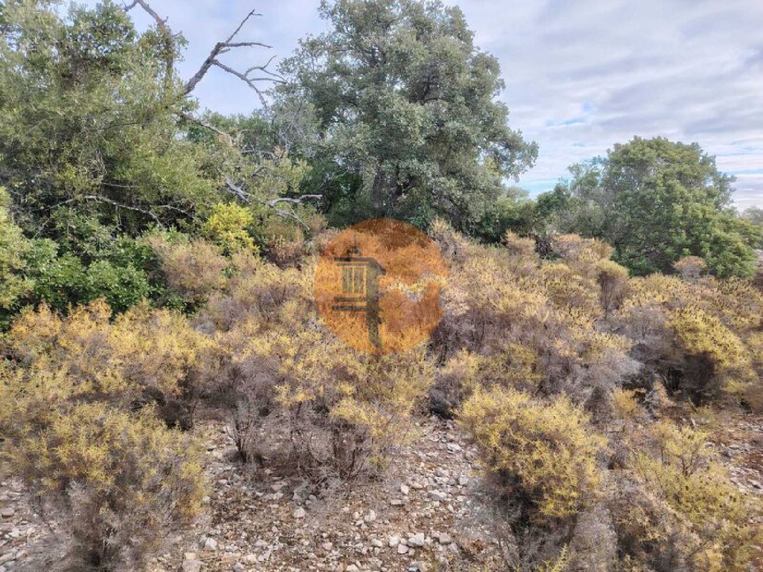  te koop terrein Estoi Faro 2