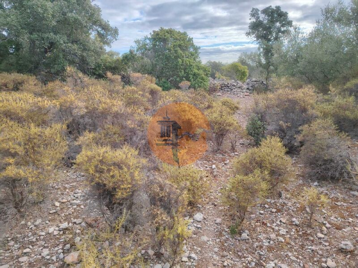  te koop terrein Estoi Faro 3