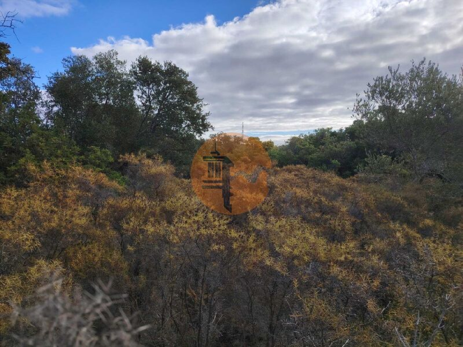  te koop terrein Estoi Faro 5