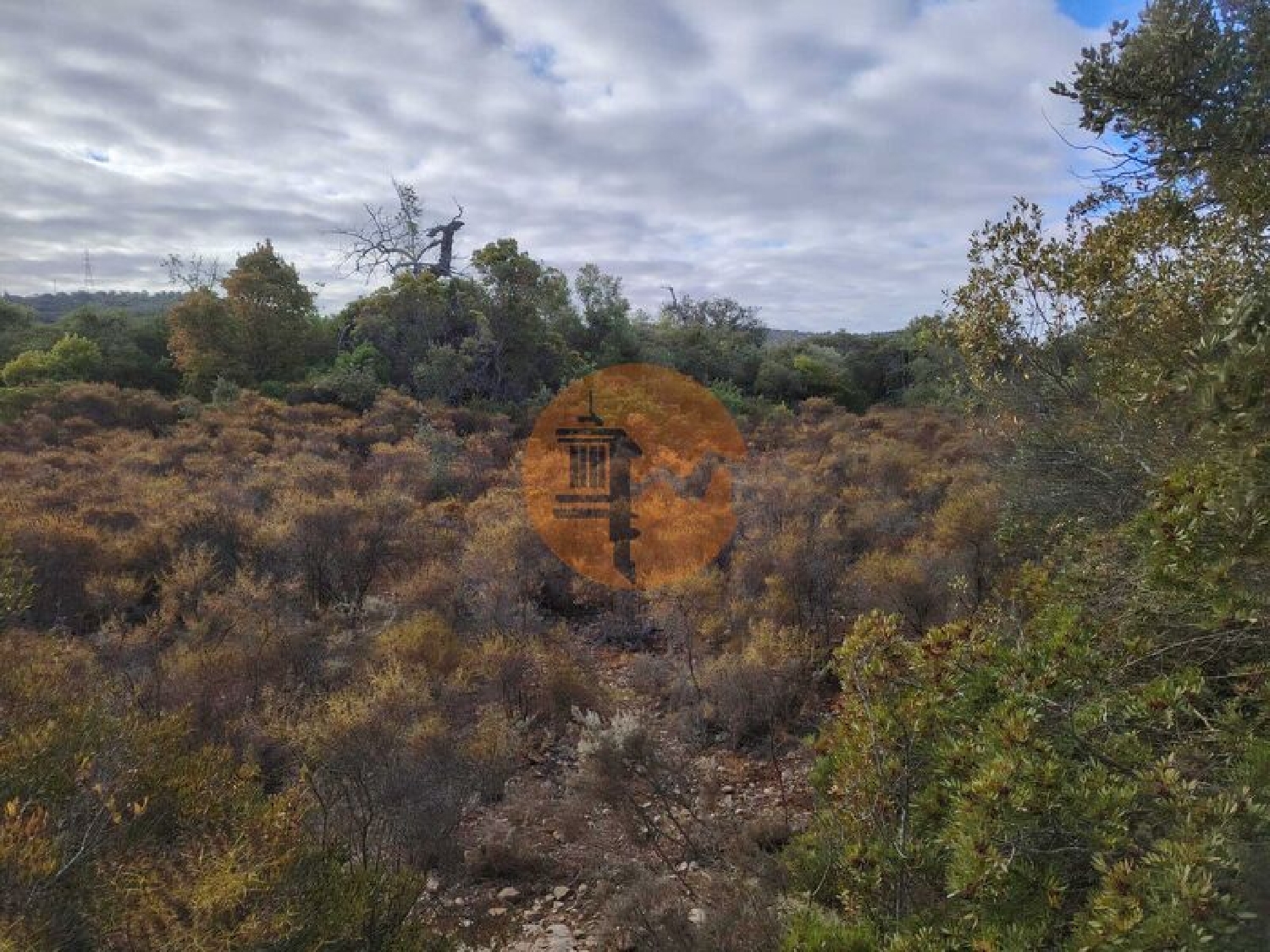  te koop terrein Estoi Faro 6