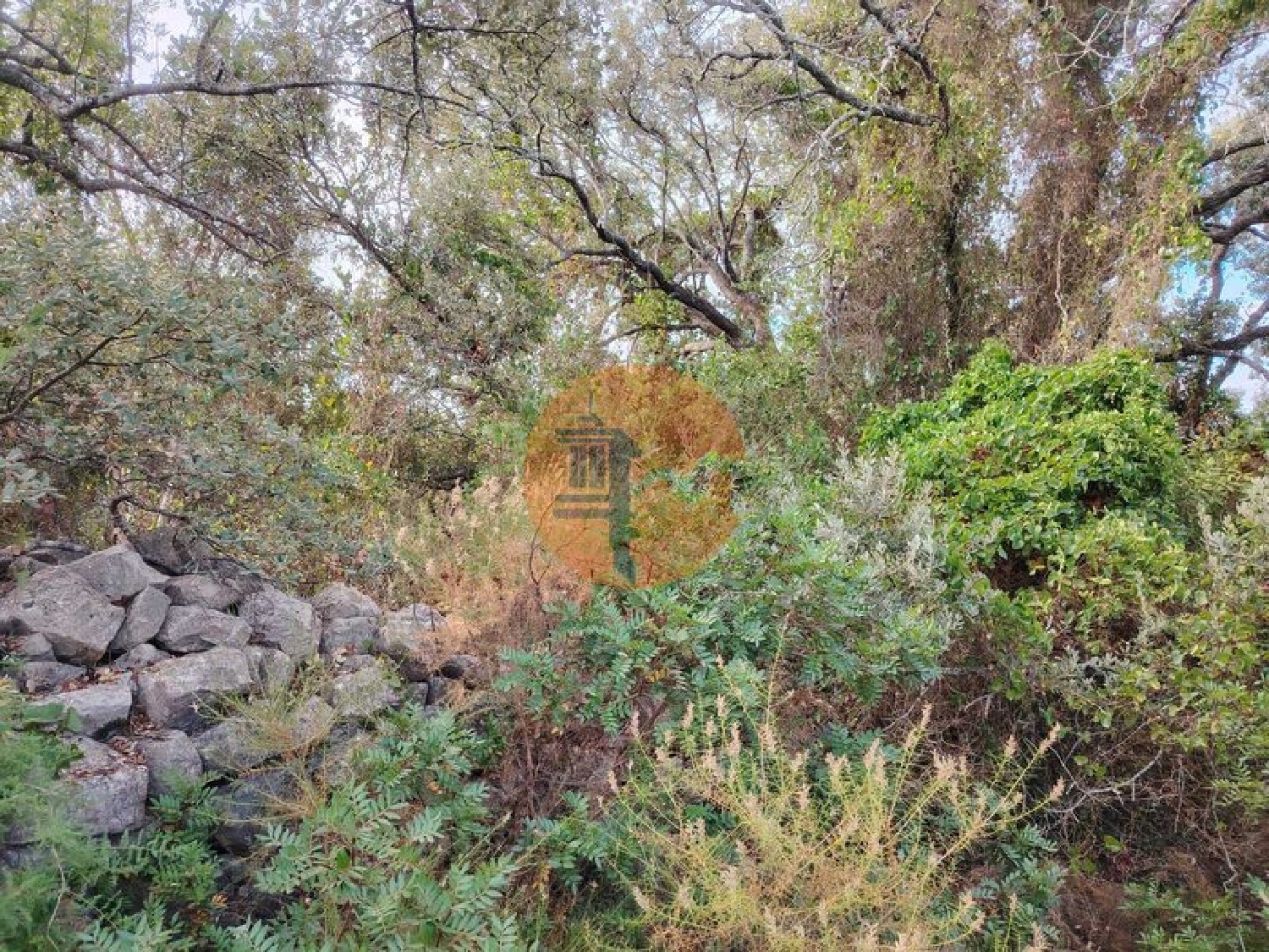  te koop terrein Estoi Faro 7