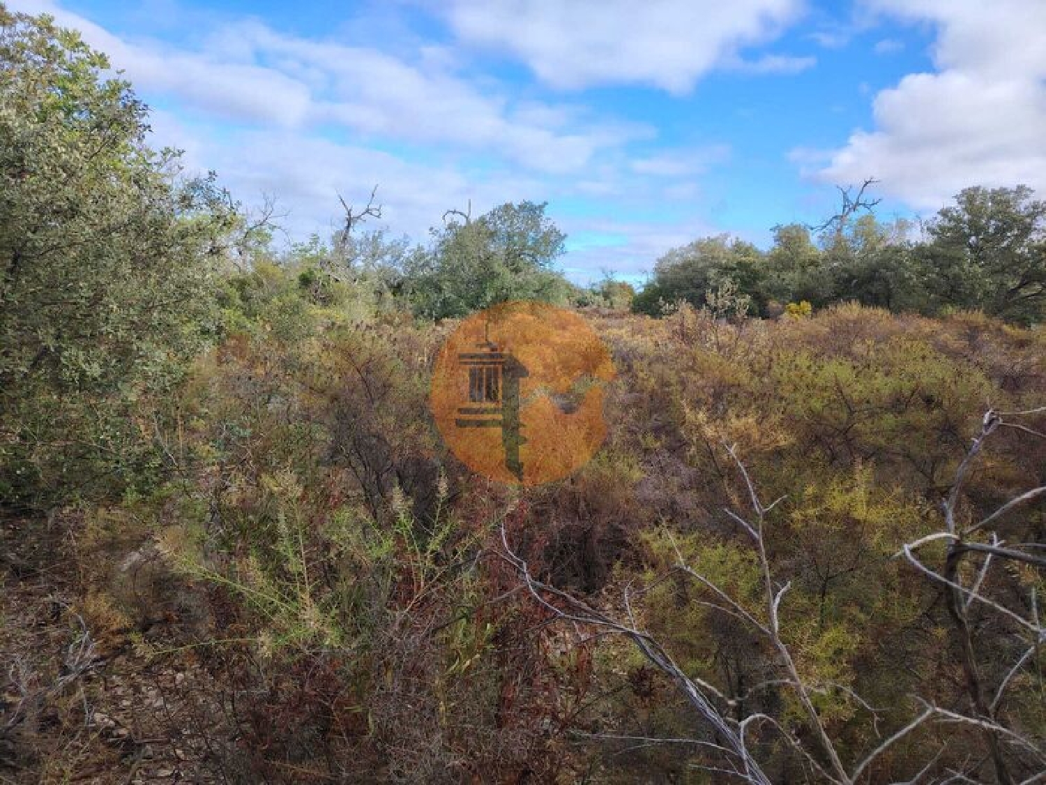  te koop terrein Estoi Faro 8